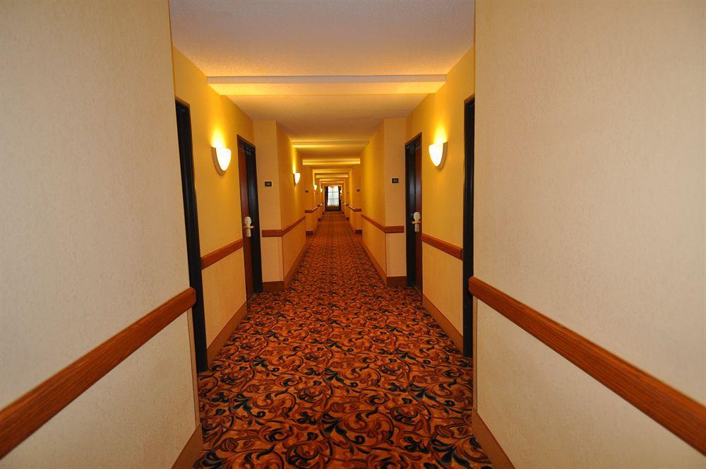 Comfort Inn & Suites New Orleans Airport North Kenner Interior photo